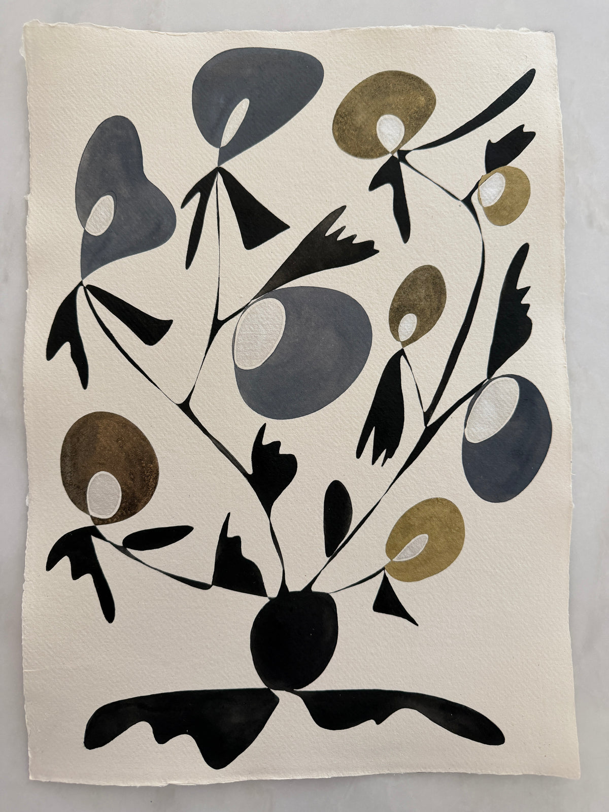 Rooted
