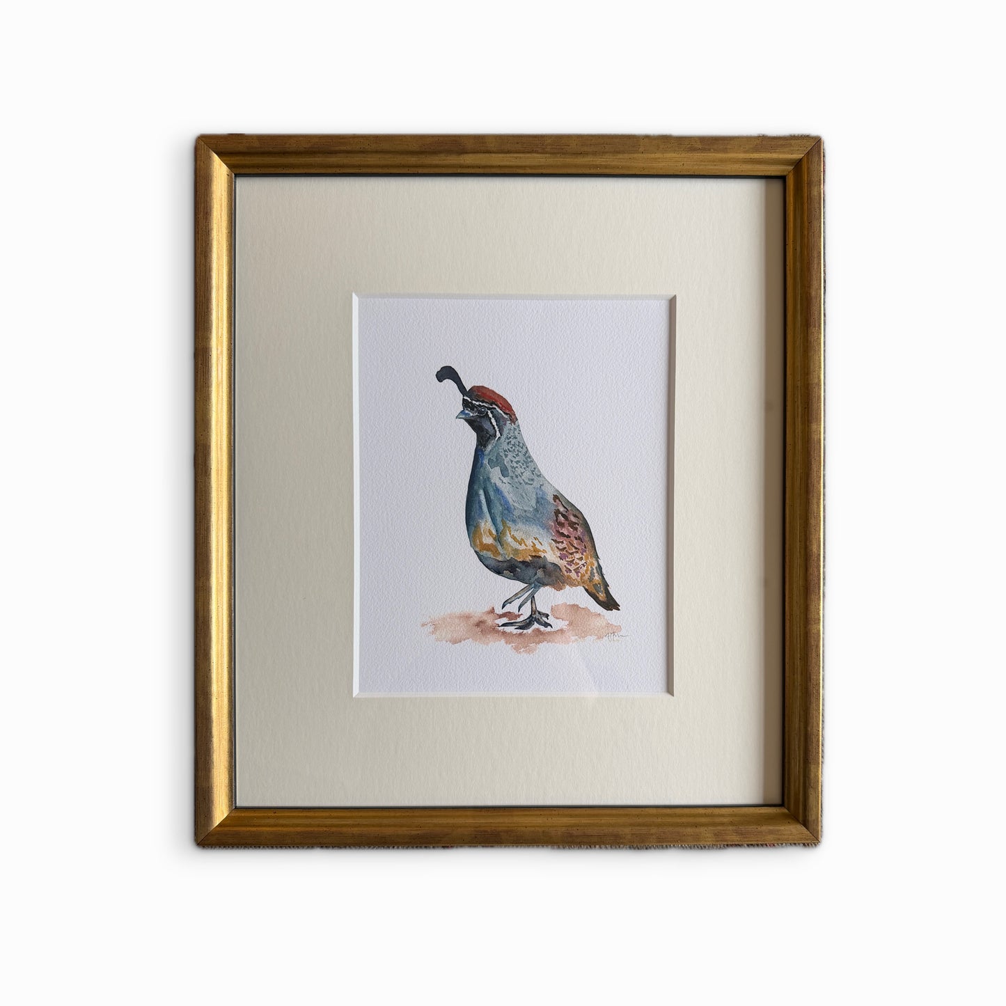 Quail print, framed