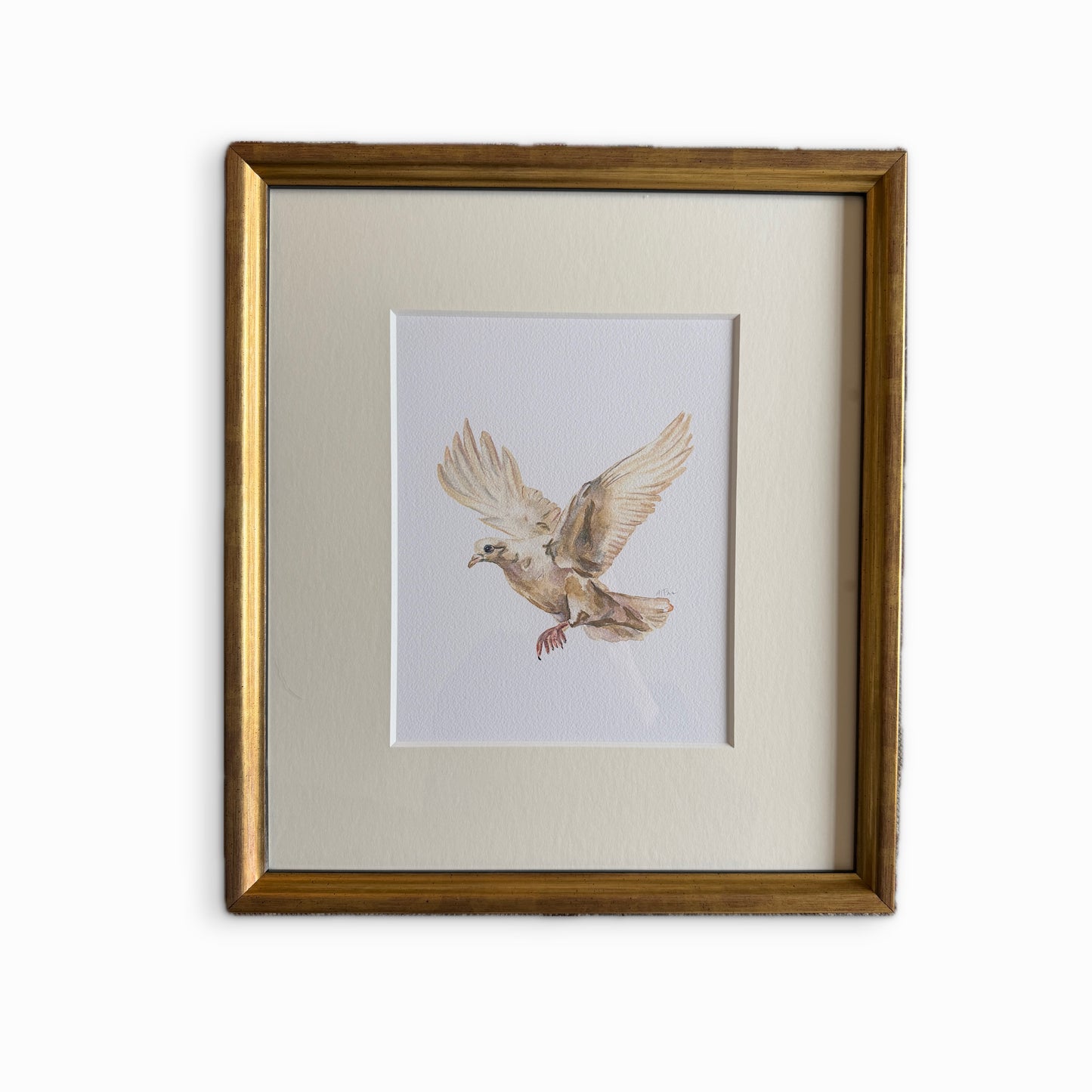 Dove print, framed