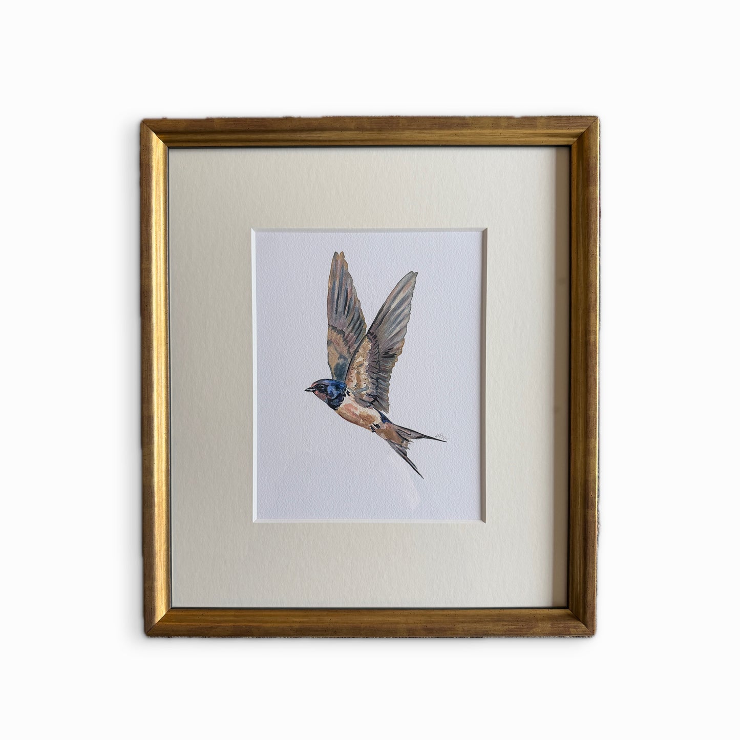Swallow print, framed