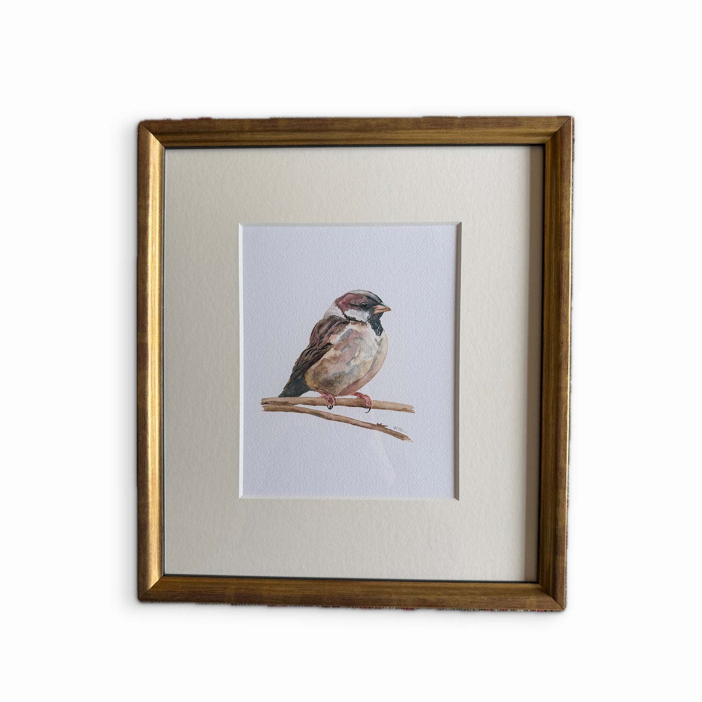 Sparrow print, framed