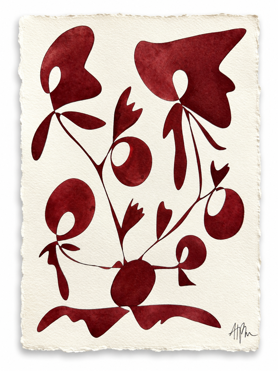 Rooted