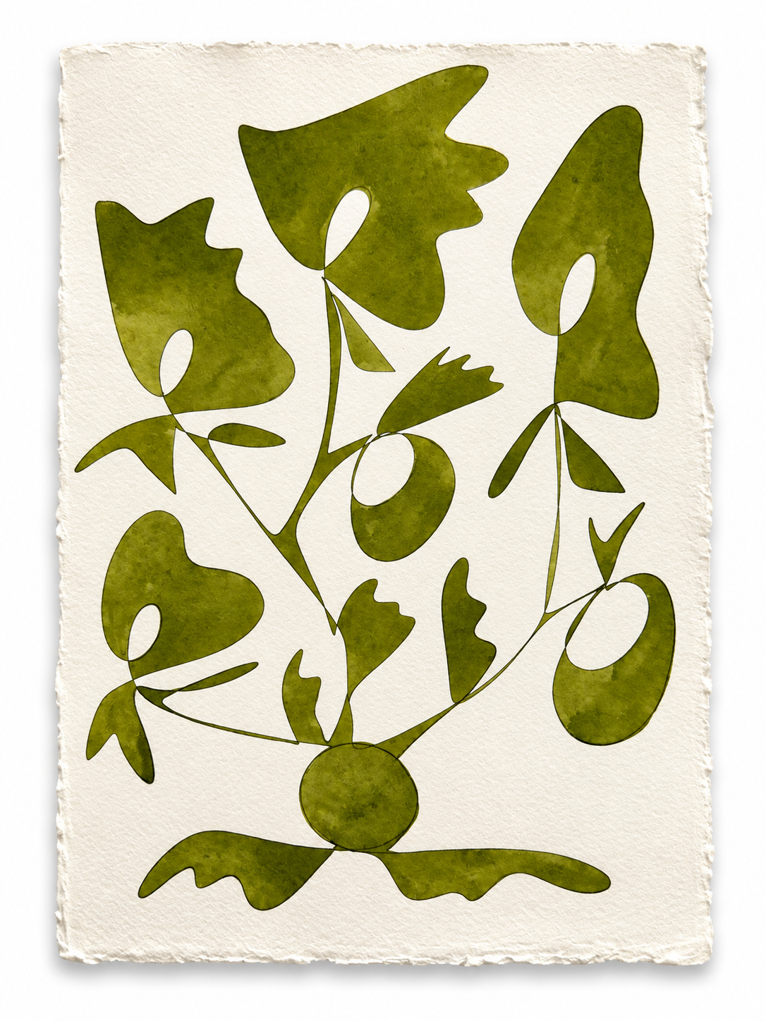 Rooted