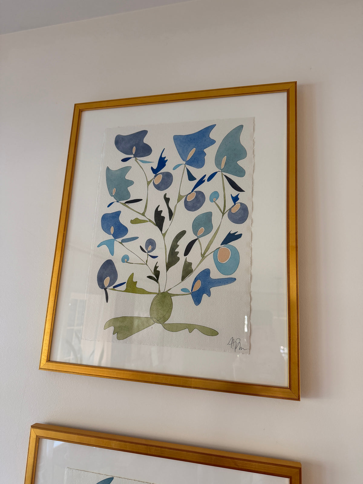 Rooted, framed