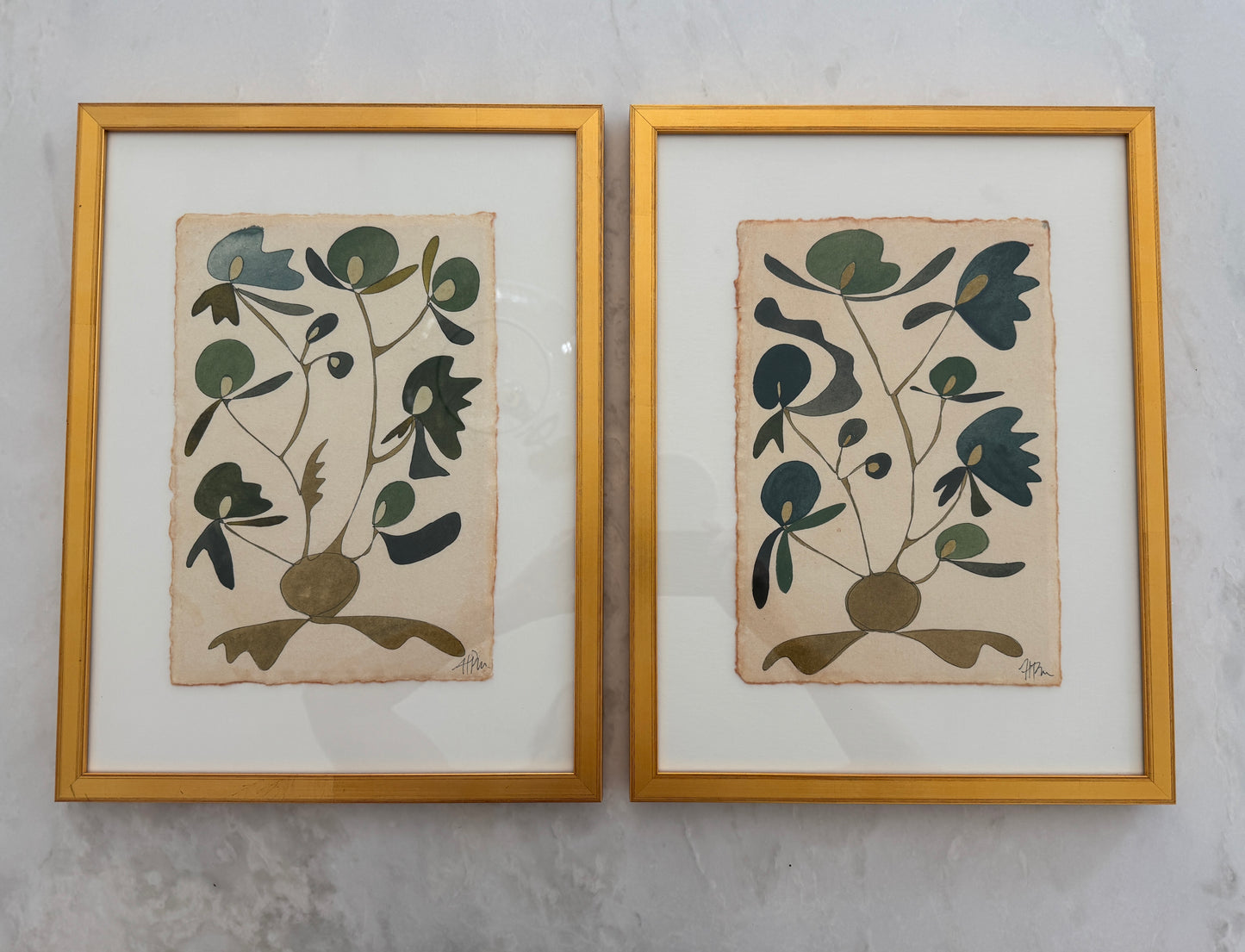 Rooted (framed pair)