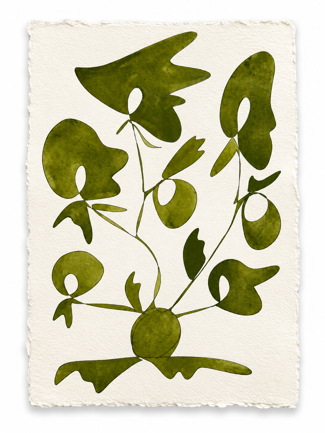 Rooted