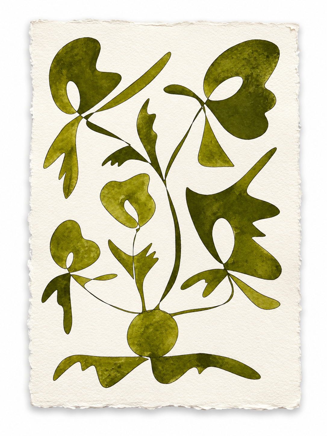 Rooted