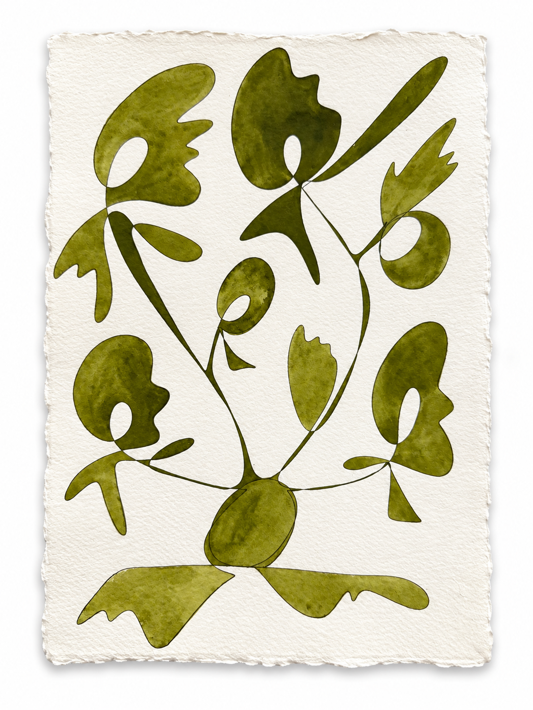 Rooted