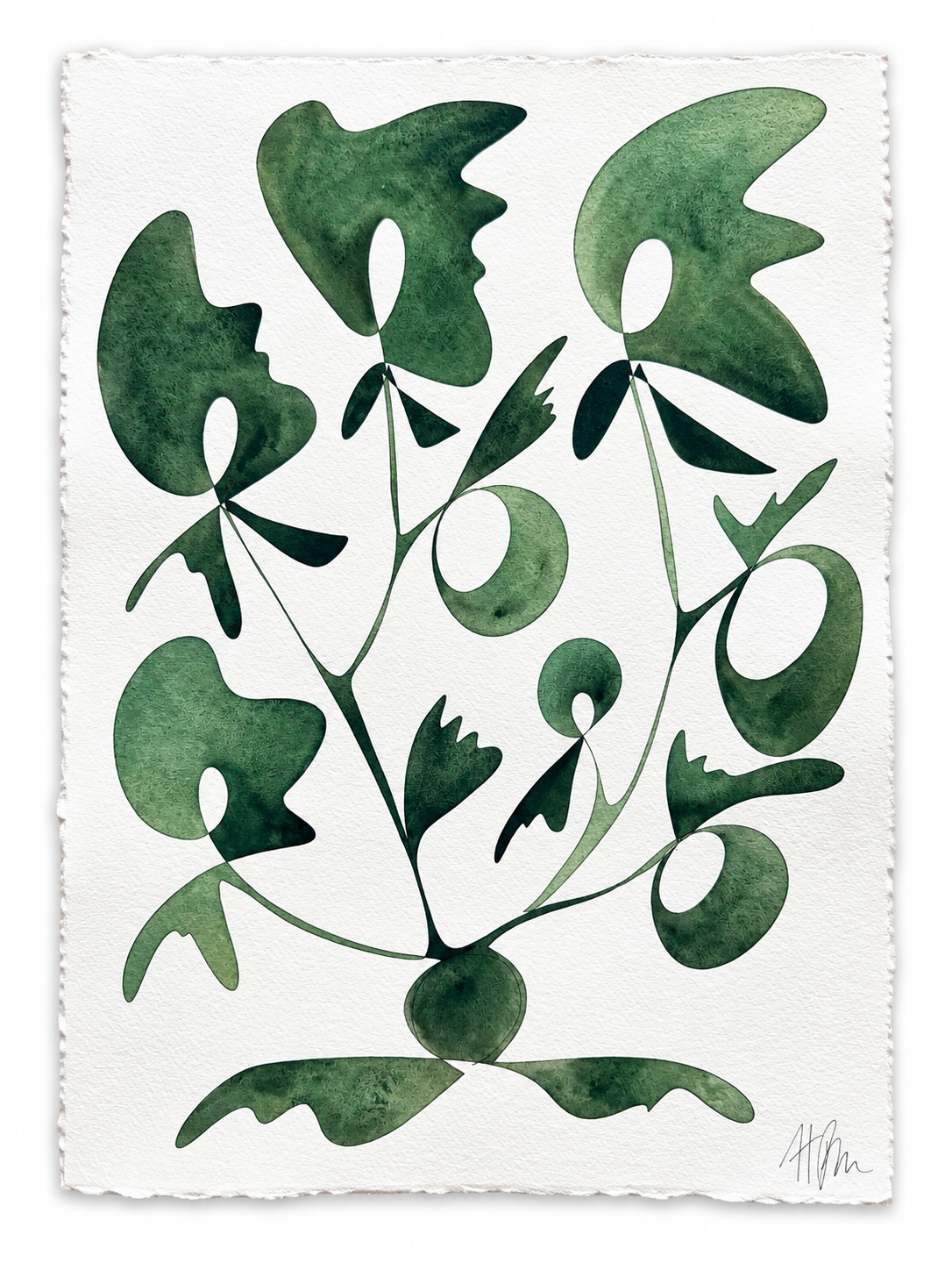 Rooted