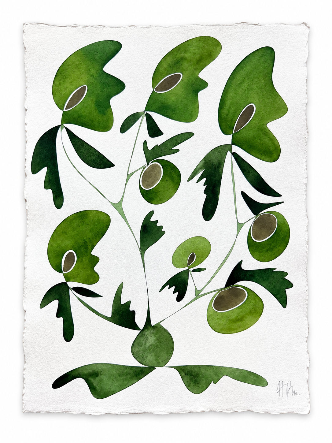 Rooted