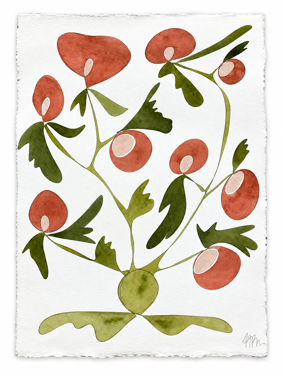 Rooted