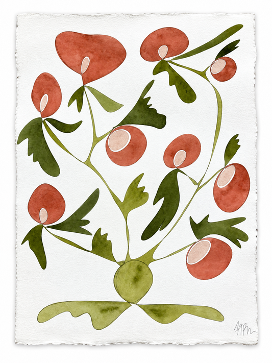 Rooted