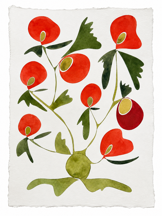 Rooted