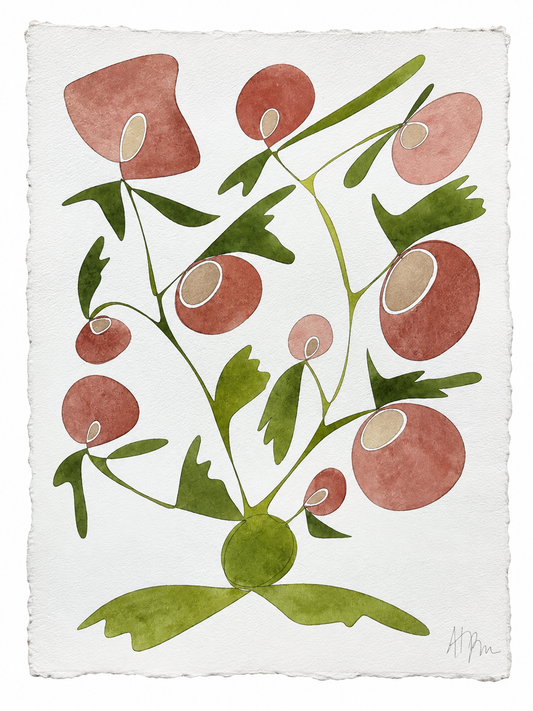 Rooted