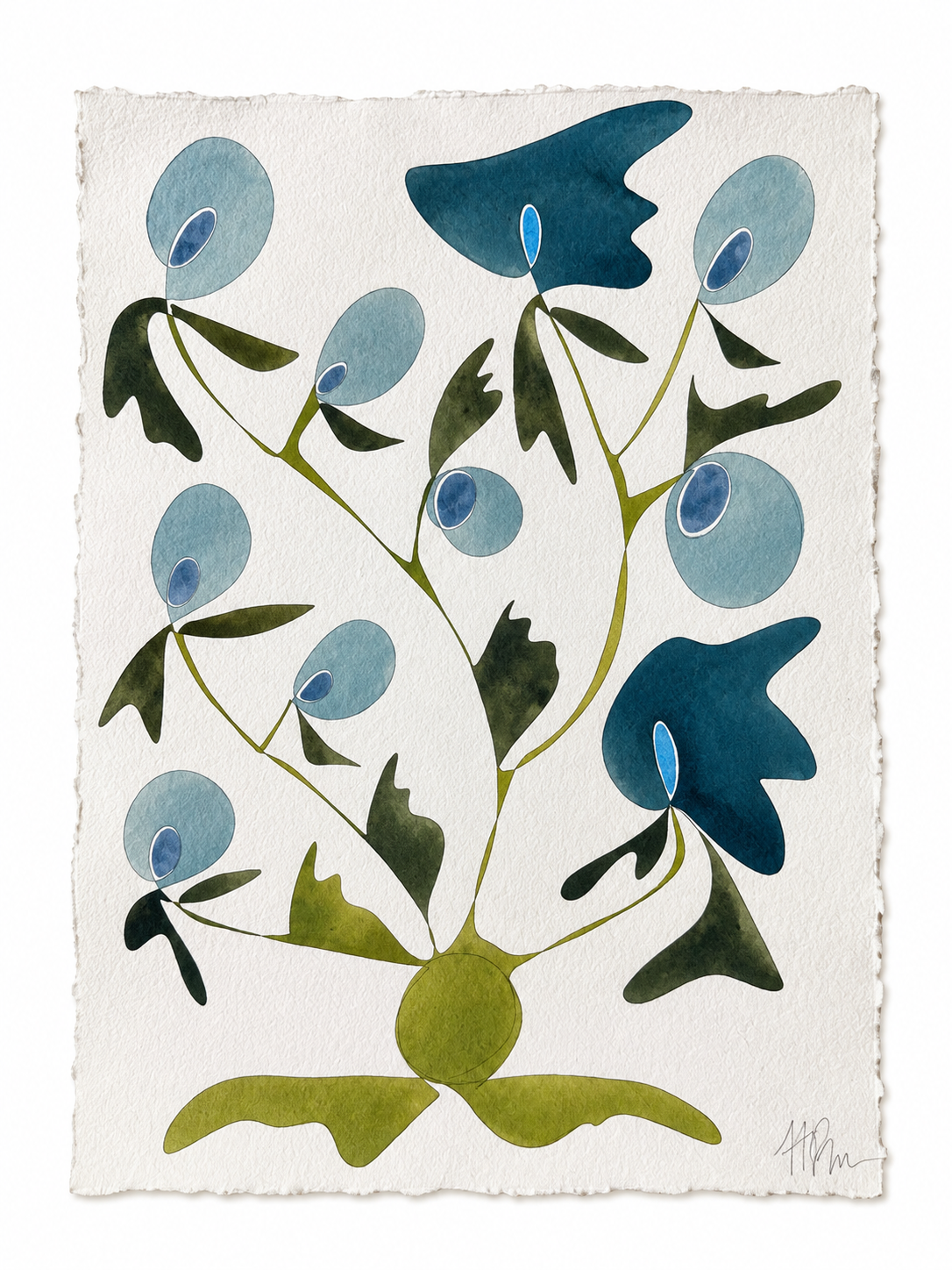 Rooted