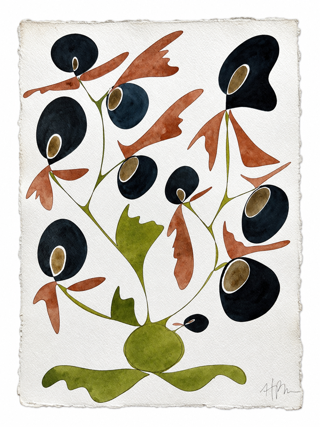 Rooted
