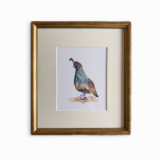 Quail print, framed
