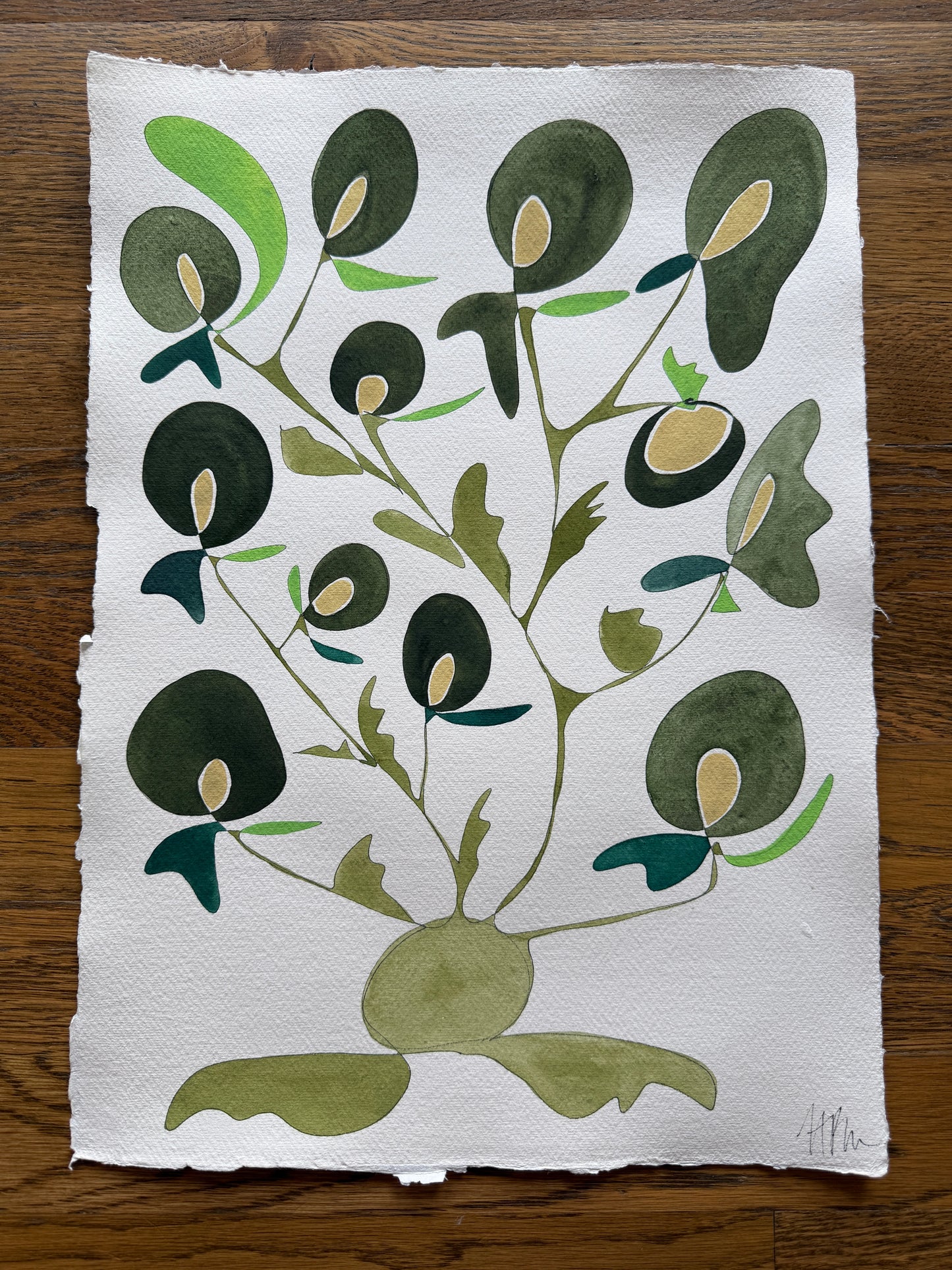 Rooted