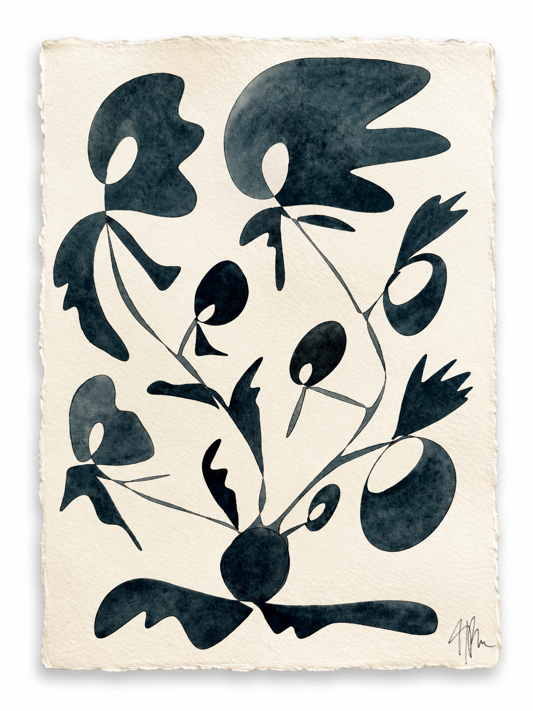 Rooted