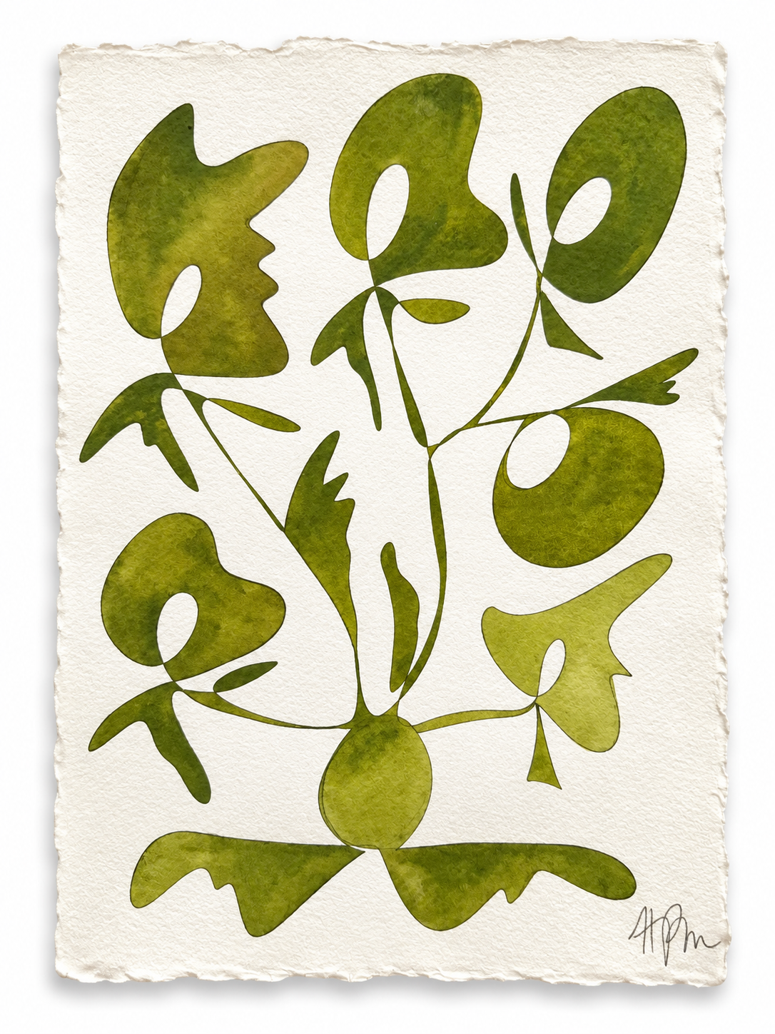 Rooted