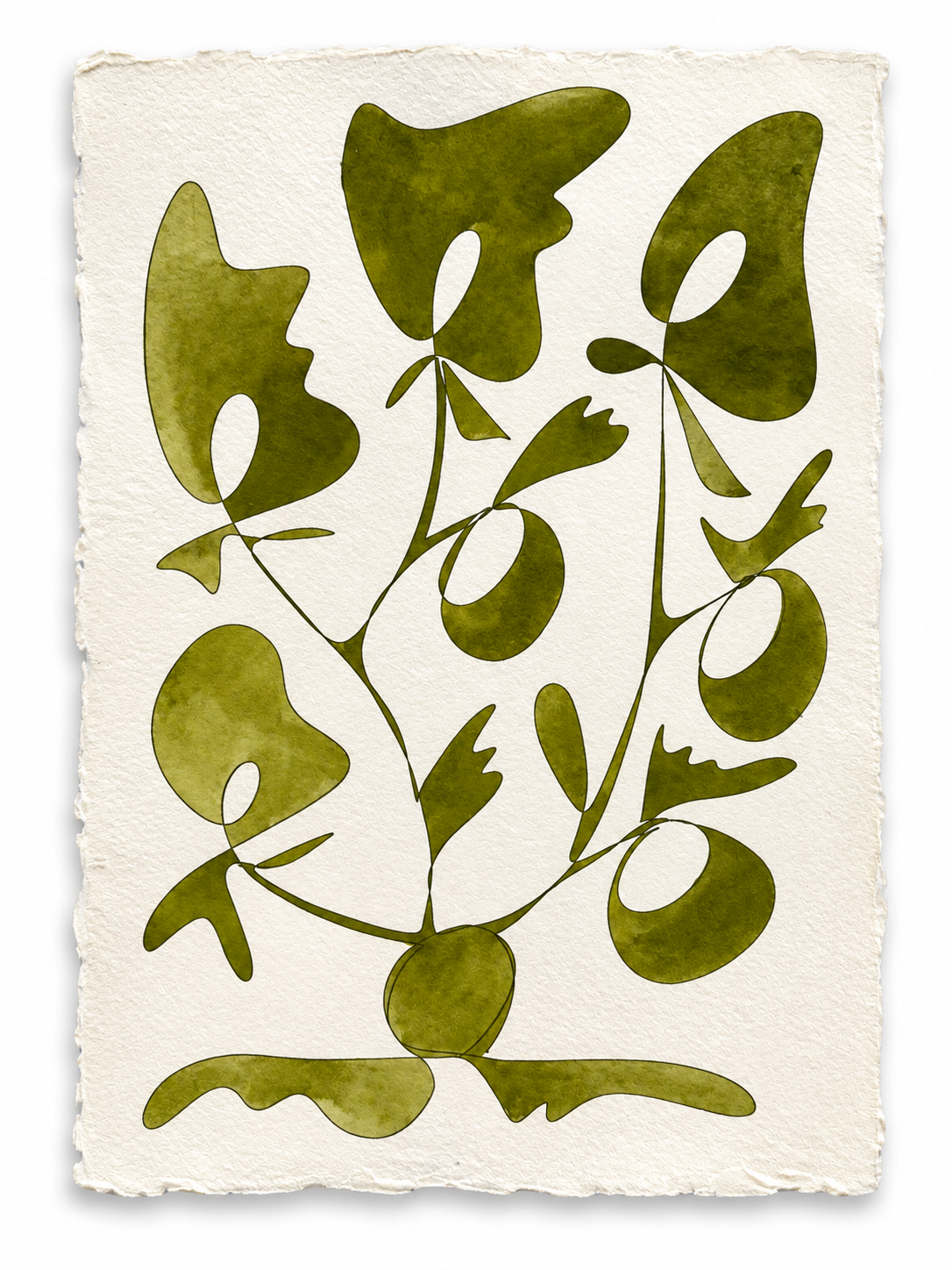 Rooted
